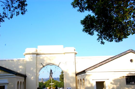 arch grahamstown